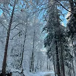 Haus Nebel