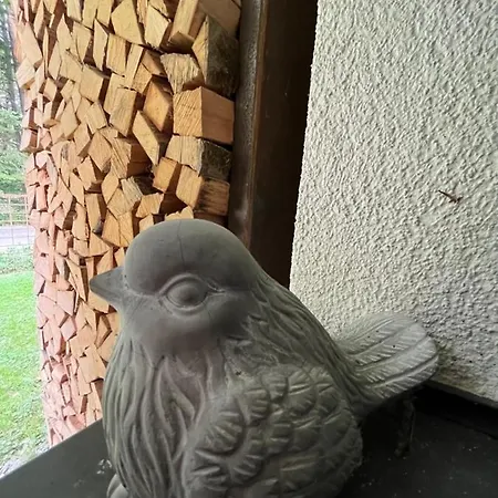 Haus Nebel * Oberhaag