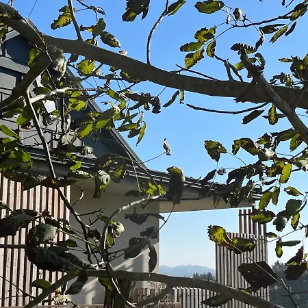 Haus Nebel * Oberhaag