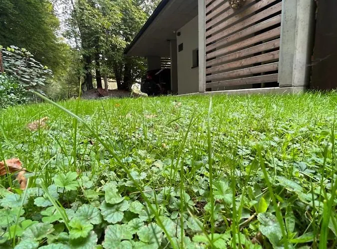 Nyaraló Haus Nebel Oberhaag