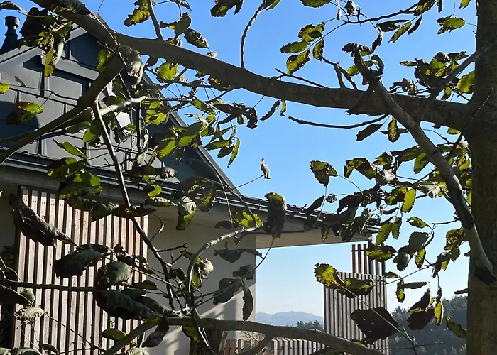 Haus Nebel * Oberhaag